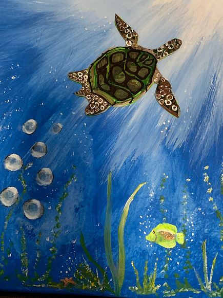 Timmy the Turtle