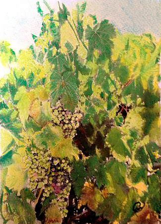 Grape vines in acrlic