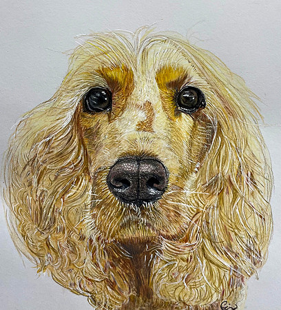 Maggie