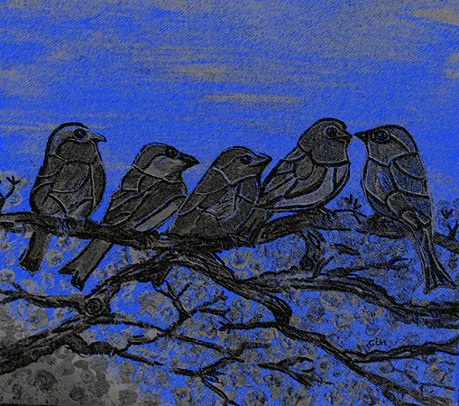 Birds on a Wire
