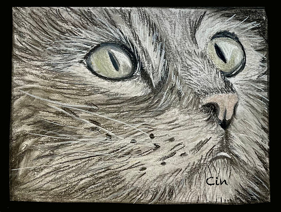 Kitty La La